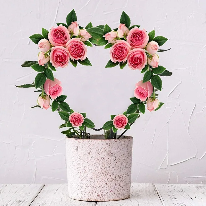 Black Metal Garden Decoration Trellis For Climbing Plants Flower Vegetables Rose Vine Heart And Round Shape Plant Holder
Black Metal Garden Decoration Trellis For Climbing Plants Flower Vegetables Rose Vine Heart And Round Shape Plant Holder