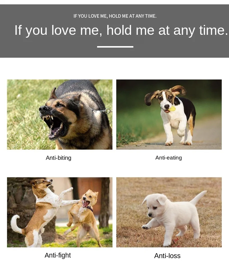 Breathable Mesh Reflective Collar Dog Collar Pet Collars for Dogs Small Medium Large Dog Training Pet Dog Accessories
Breathable Mesh Reflective Collar Dog Collar Pet Collars for Dogs Small Medium Large Dog Training Pet Dog Accessories