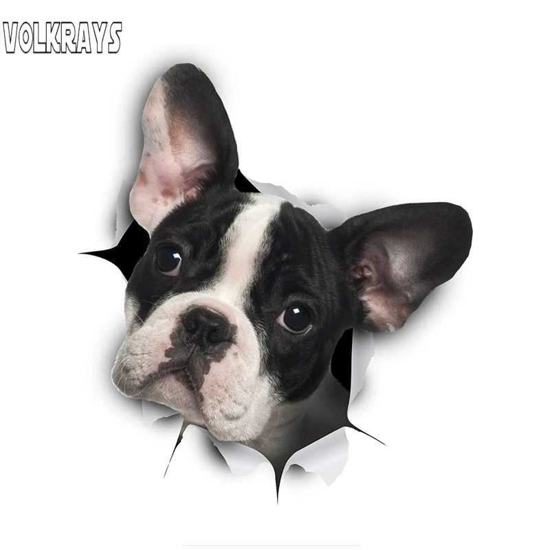 Volkrays, 3D наклейка с собакой, черный, белый, французский, французский бульдог, наклейка, водонепроницаемые автомобильные аксессуары, украшени...
Volkrays, 3D наклейка с собакой, черный, белый, французский, французский бульдог, наклейка, водонепроницаемые автомобильные аксессуары, украшени...