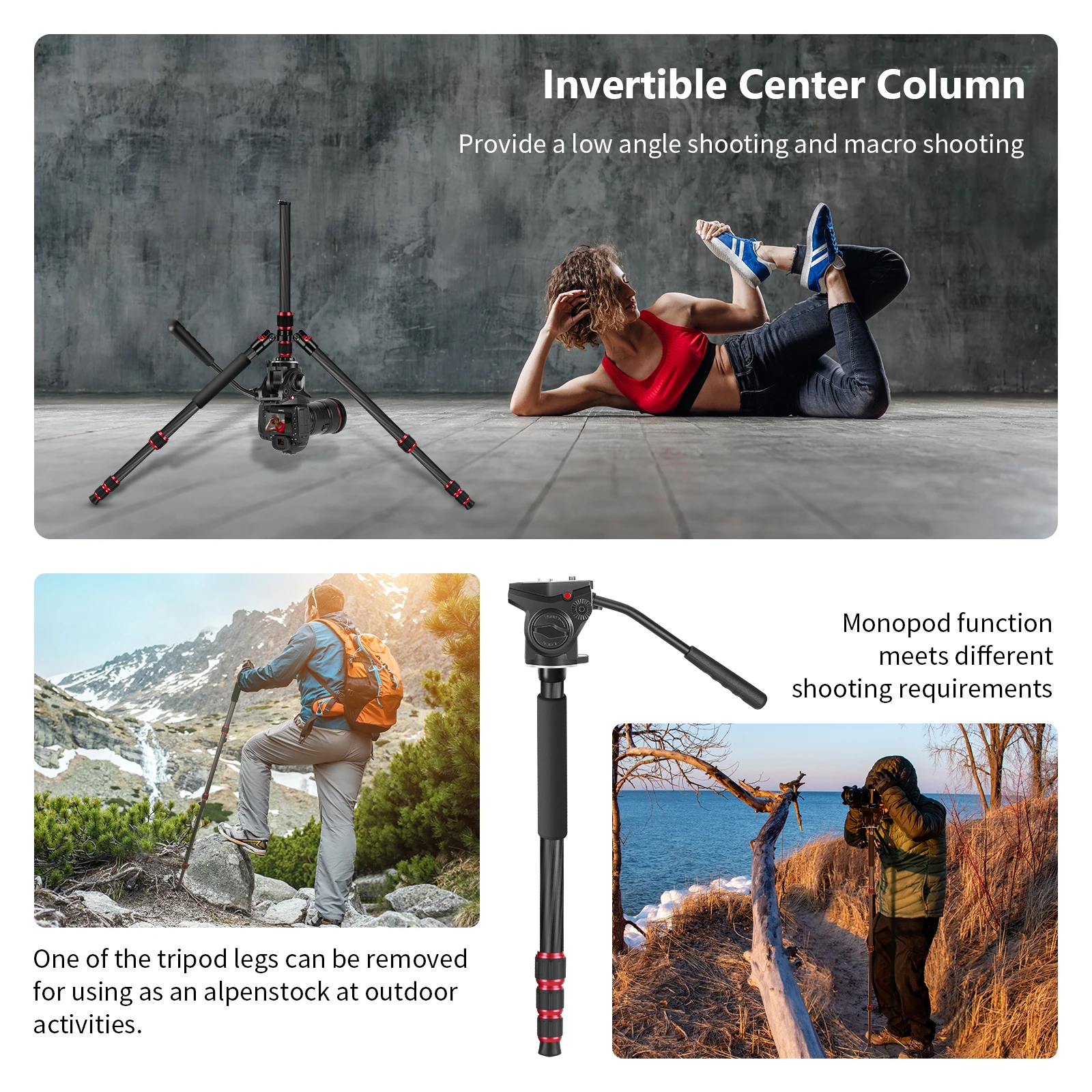 Neewer 2-in-1 N55CL Camera Tripod Monopod, Camera Video Tripod with 1/4 and 3/8 inch Screws Fluid Drag Pan Head for DSLR Cameras
Neewer 2-in-1 N55CL Camera Tripod Monopod, Camera Video Tripod with 1/4 and 3/8 inch Screws Fluid Drag Pan Head for DSLR Cameras