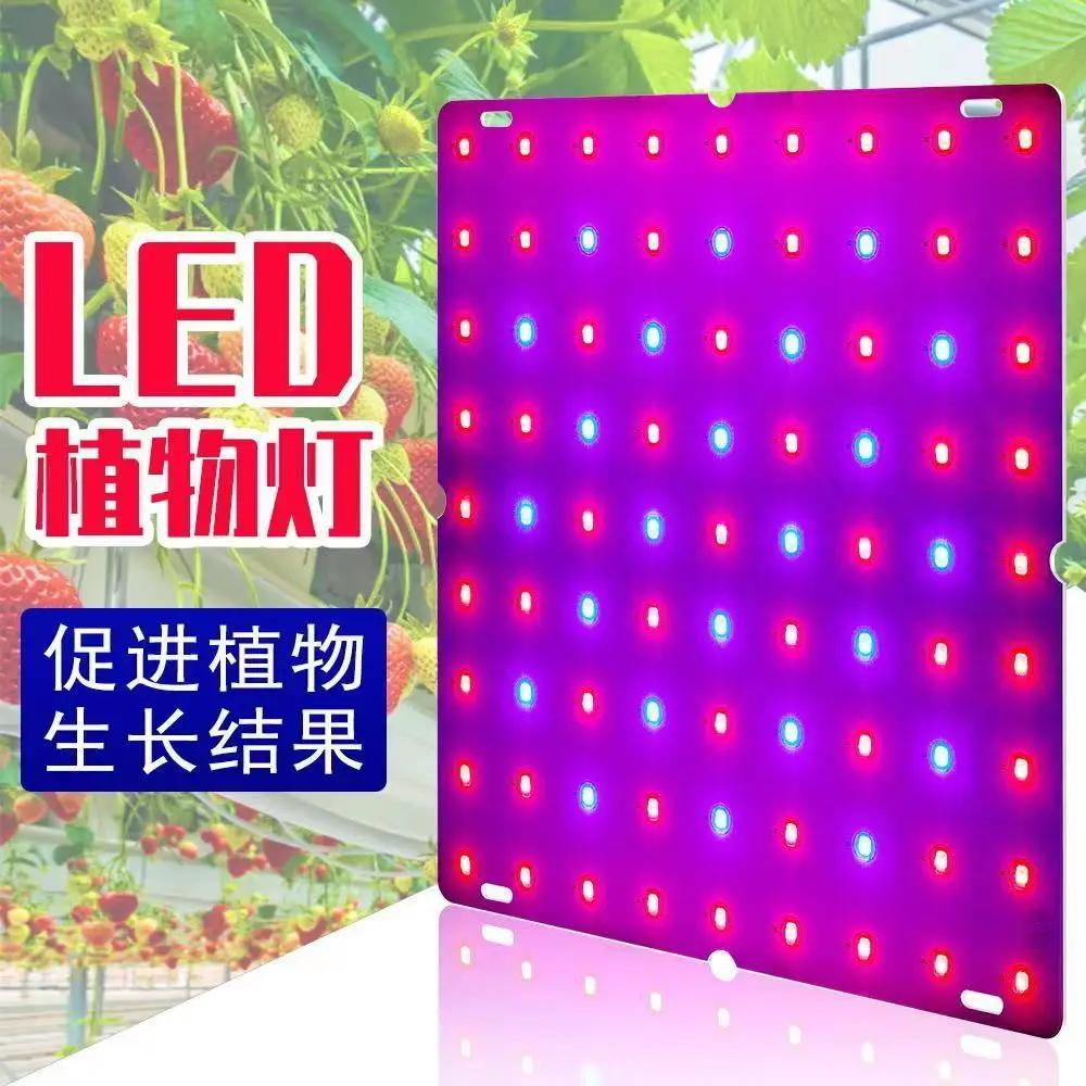 Led plate plant lamp bonsai ultra-thin full spectrum succulent growth lamp greenhouse seedling vegetables fill light tube
Led plate plant lamp bonsai ultra-thin full spectrum succulent growth lamp greenhouse seedling vegetables fill light tube
