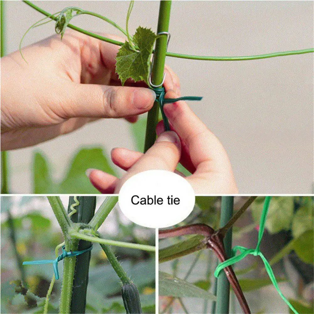 200PCS/Pack Plant Twist Tie Flower Branch Fixing Multi-functional Green Plastic-Coated Garden Training Wire
200PCS/Pack Plant Twist Tie Flower Branch Fixing Multi-functional Green Plastic-Coated Garden Training Wire