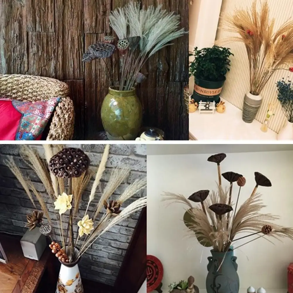 50 Pcs New Real Dry Reed Flower Natural Dried Reed Decor Desktop Living Primary Color Grass Diy Crafts Home Room Pampas Flo W6r6
50 Pcs New Real Dry Reed Flower Natural Dried Reed Decor Desktop Living Primary Color Grass Diy Crafts Home Room Pampas Flo W6r6