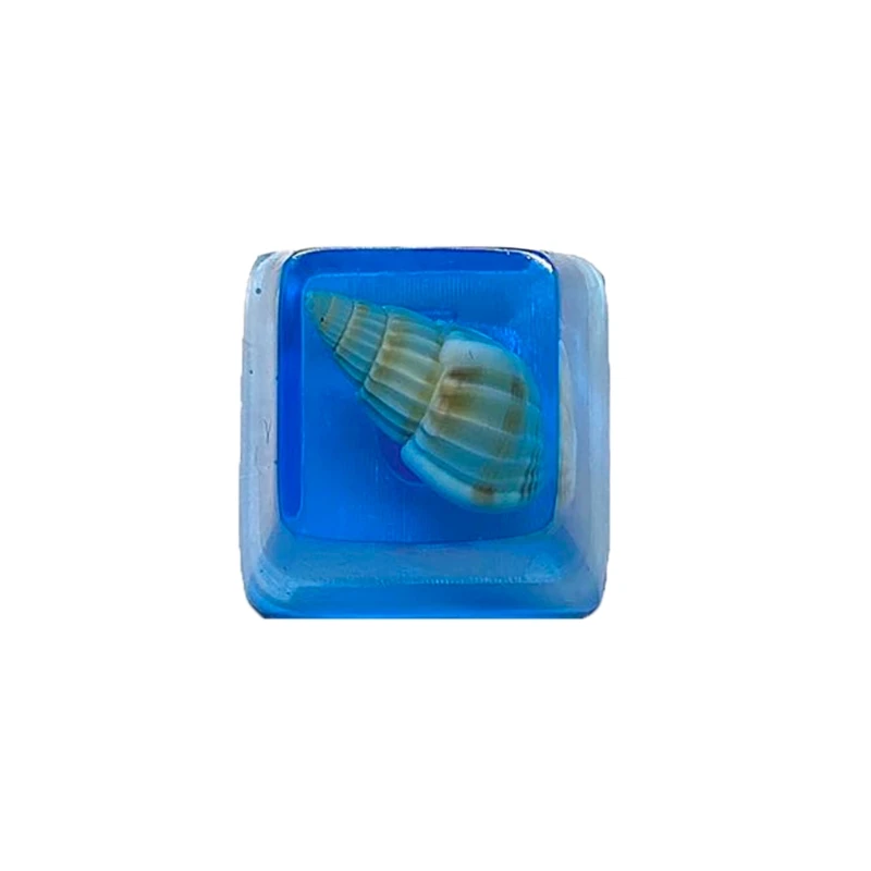 Handmade Customized OEM R4 Profile Resin Keycap Keyboard RGB Conch Resin Keycap
Handmade Customized OEM R4 Profile Resin Keycap Keyboard RGB Conch Resin Keycap