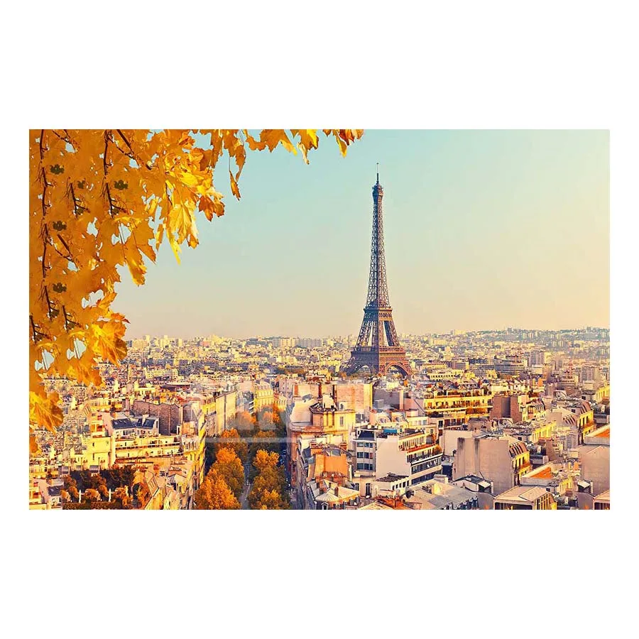 large 5D diamond drawing The Tower of Paris diamond art kit DIY full drill embroidery Mosaic home wall decorative art
large 5D diamond drawing The Tower of Paris diamond art kit DIY full drill embroidery Mosaic home wall decorative art