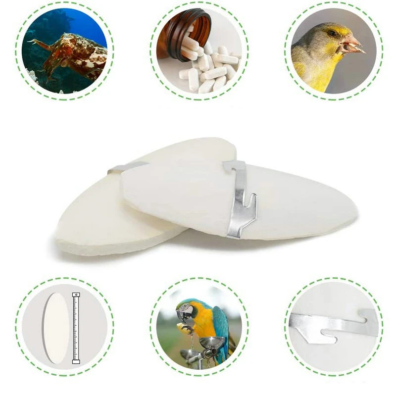 1 шт 12/15 см Cuttlebone Каракатица сепия кости каракатицы Фиш птица Еда кальция Палочки камень домашние попугаи