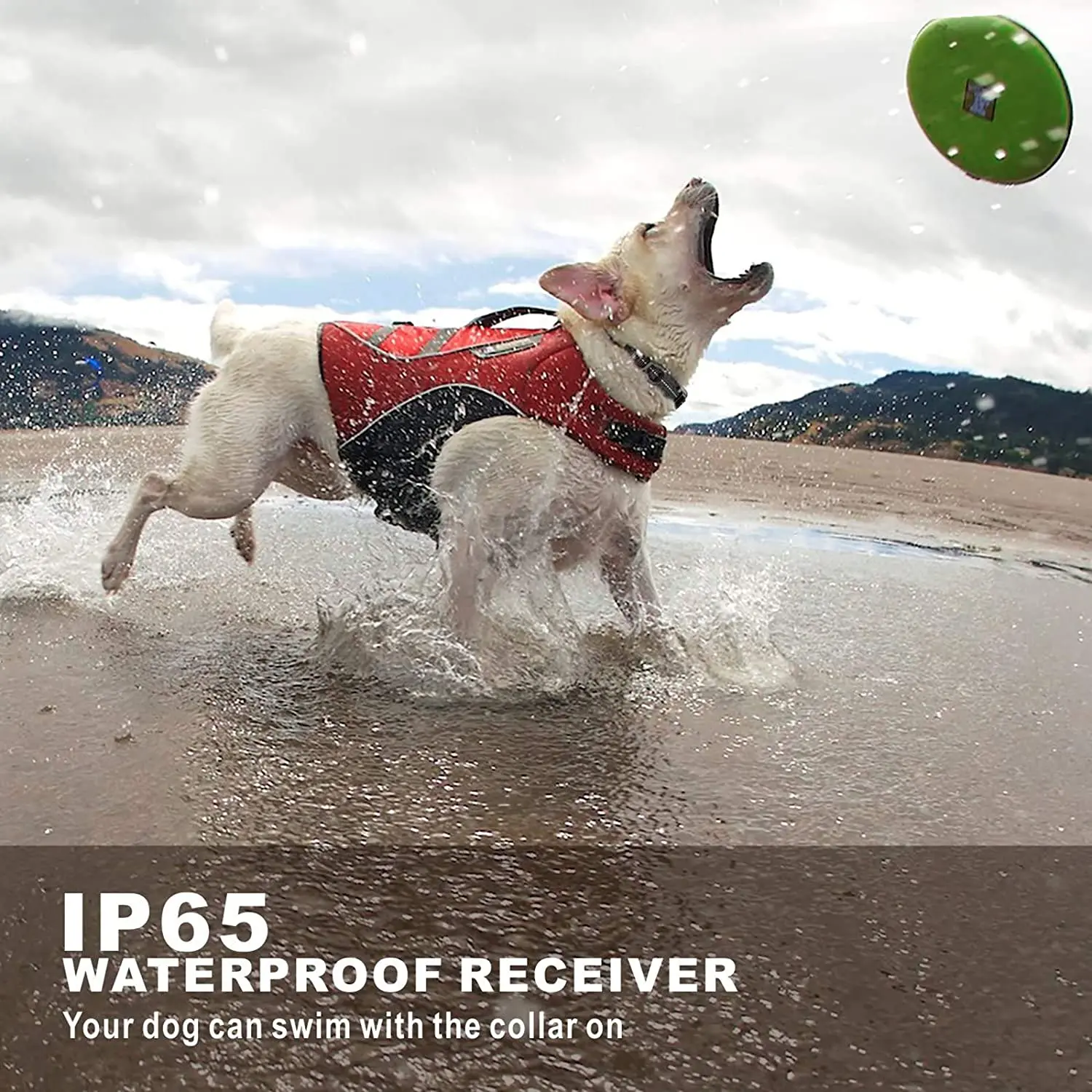 Dog Electric Shock Collar Training Anti Dog Barking Devices Agility Equipment German Shepherd Bite 800M Remote Control
Dog Electric Shock Collar Training Anti Dog Barking Devices Agility Equipment German Shepherd Bite 800M Remote Control