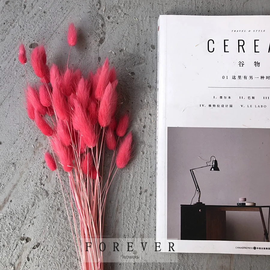 20pcs Lot Lagurus Dried Flowers Artificial Dyeing Real Flowers Ovatus Bouquet for Home Wedding Decoration Fake Flowers Natural
20pcs Lot Lagurus Dried Flowers Artificial Dyeing Real Flowers Ovatus Bouquet for Home Wedding Decoration Fake Flowers Natural