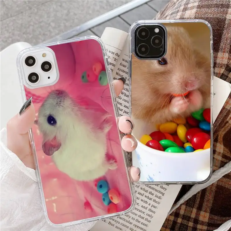 Guinea Pig Cute Animal Pet Blue Phone Case For Iphone 5 SE 2020 6 6s 7 8 plus X Xr XS 11 12 13 Mini Pro Max Fundas Cover 
Guinea Pig Cute Animal Pet Blue Phone Case For Iphone 5 SE 2020 6 6s 7 8 plus X Xr XS 11 12 13 Mini Pro Max Fundas Cover