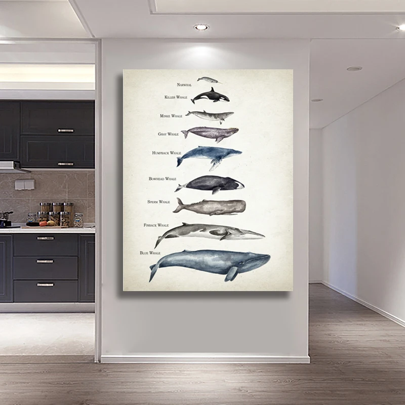 Whales Size Comparison Chart Print Whale Watercolor Painting Child Educational Poster Nursery Wall Art Pictures Kids Room Decor
Whales Size Comparison Chart Print Whale Watercolor Painting Child Educational Poster Nursery Wall Art Pictures Kids Room Decor