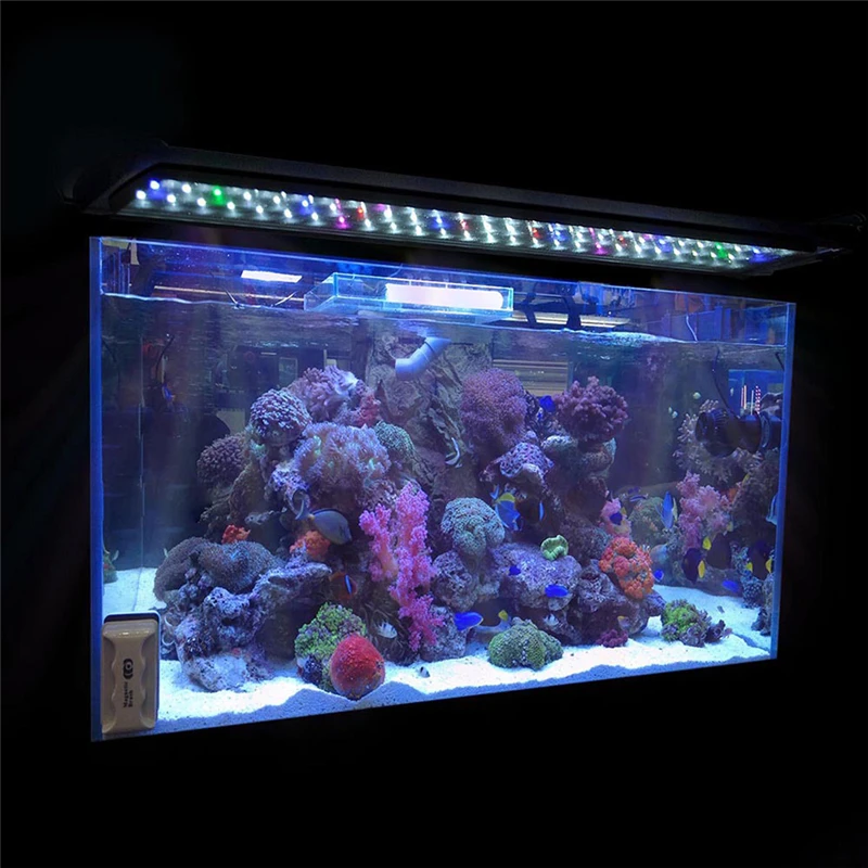 Super Slim Fish Tank Aquatic Plant Marine Coral Multi-Color Full Spectrum Growing Lamps 30/40cm Aquarium Landscape LED Light
Super Slim Fish Tank Aquatic Plant Marine Coral Multi-Color Full Spectrum Growing Lamps 30/40cm Aquarium Landscape LED Light
