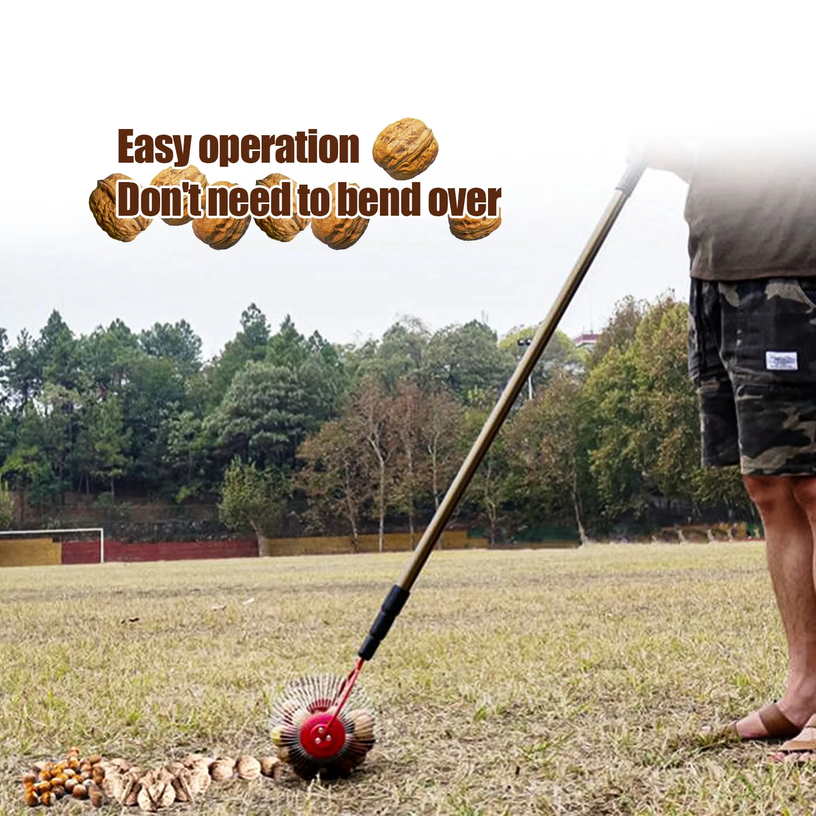 Walnut Picker Garden Nut Rolling Picker Nuts Collecting Tool Adjustable Length Collector for Pecans Chestnuts and Golf Balls
Walnut Picker Garden Nut Rolling Picker Nuts Collecting Tool Adjustable Length Collector for Pecans Chestnuts and Golf Balls