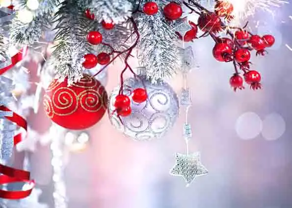 Vinyl Custom Photography Prop Christmas day theme Photo Studio Background S19907-0531
Vinyl Custom Photography Prop Christmas day theme Photo Studio Background S19907-0531