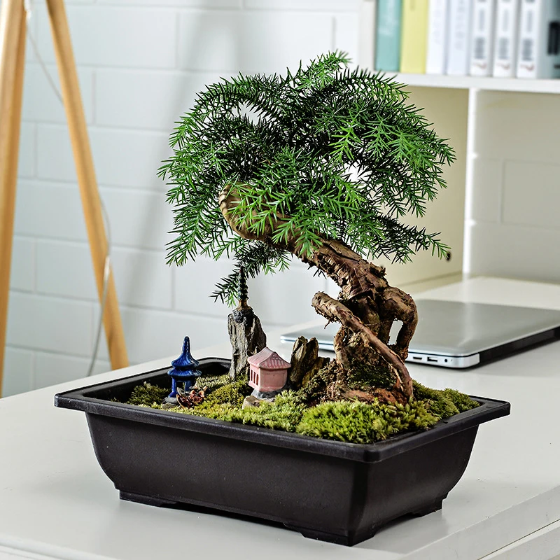 1PC Flower Pot Imitation Plastic Balcony Square Pots Flower Bonsai Bowl Nursery Basin Planter Imitation Rectangle
1PC Flower Pot Imitation Plastic Balcony Square Pots Flower Bonsai Bowl Nursery Basin Planter Imitation Rectangle