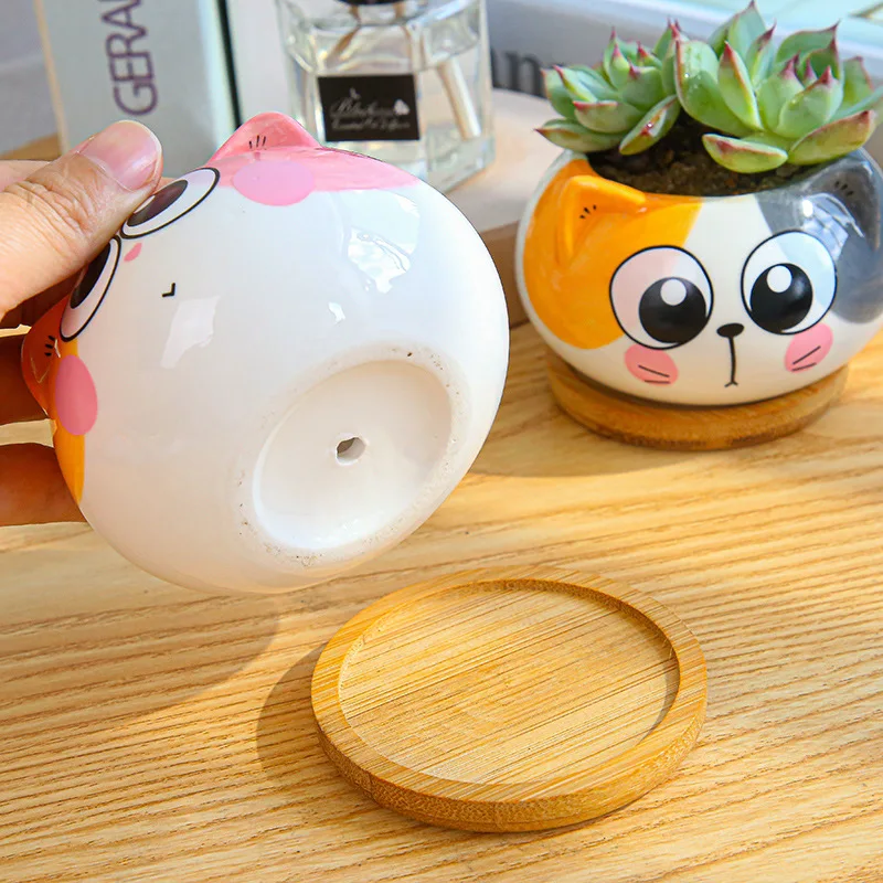 Creative Cartoon Animal Meat Flowerpot Horticultural Owl Combination Ceramic Mini Potted Plant Succulents Pots
Creative Cartoon Animal Meat Flowerpot Horticultural Owl Combination Ceramic Mini Potted Plant Succulents Pots