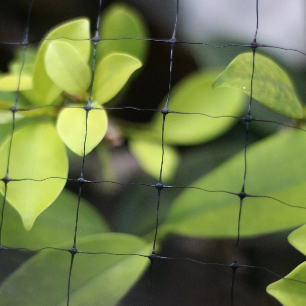 7ftX100ft Bird Net Bird Netting Black Cable Tie Cage Crop Fruit Garden Net Plants
7ftX100ft Bird Net Bird Netting Black Cable Tie Cage Crop Fruit Garden Net Plants