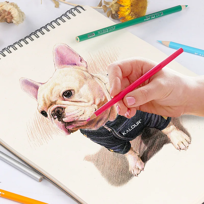 3 Colors Sketchbook Sketch Book Graffiti Drawing Book Art Supplies Hand Painted Book for Sketch Artist 100g/m2 60 Sheets
3 Colors Sketchbook Sketch Book Graffiti Drawing Book Art Supplies Hand Painted Book for Sketch Artist 100g/m2 60 Sheets