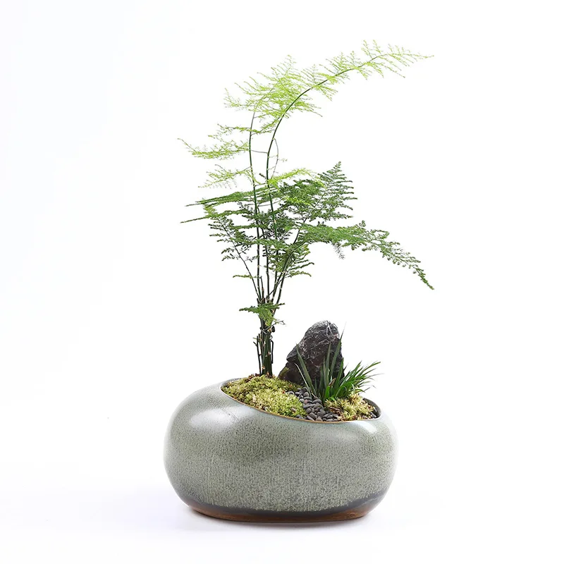 Retro Ceramic Flower Pot Creative Desktop Home Succulent Green Planted Bamboo Potted Utensils Chinese Pastoral WF107
Retro Ceramic Flower Pot Creative Desktop Home Succulent Green Planted Bamboo Potted Utensils Chinese Pastoral WF107