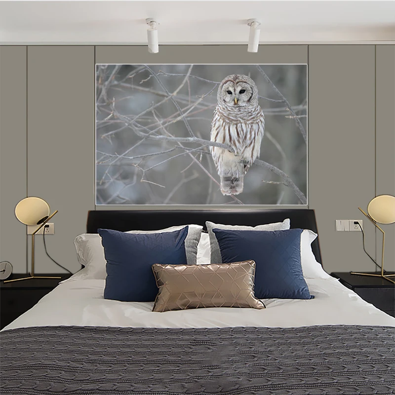 Cute Owl Canvas Painting Modern Animal Art Posters and Prints Wall Pictures Nordic Bedroom Living Room Home Decoration
Cute Owl Canvas Painting Modern Animal Art Posters and Prints Wall Pictures Nordic Bedroom Living Room Home Decoration