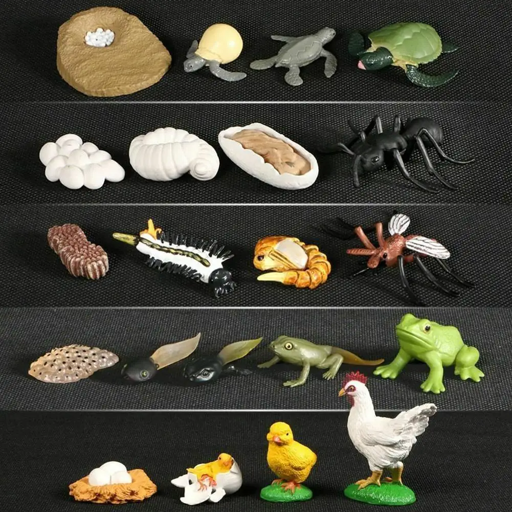 Фигурка из пластика, цикл роста животных, черепаха, комар, Цыпленок, фигурка жизненного цикла, развивающая детская игрушка
Фигурка из пластика, цикл роста животных, черепаха, комар, Цыпленок, фигурка жизненного цикла, развивающая детская игрушка