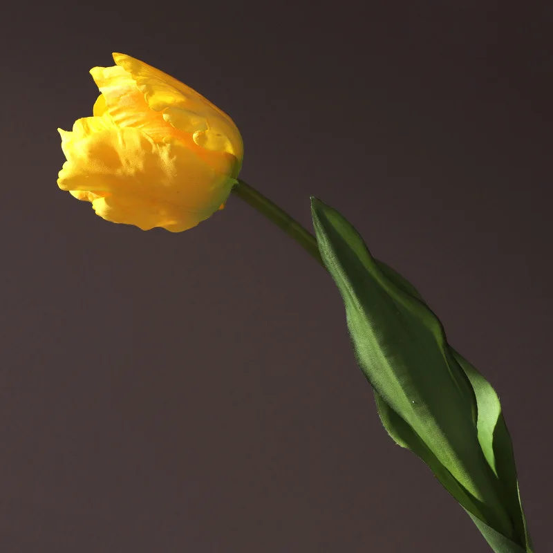 Искусственный шелковый попугай-тюльпан 60 см LaurelChow
Искусственный шелковый попугай-тюльпан 60 см LaurelChow