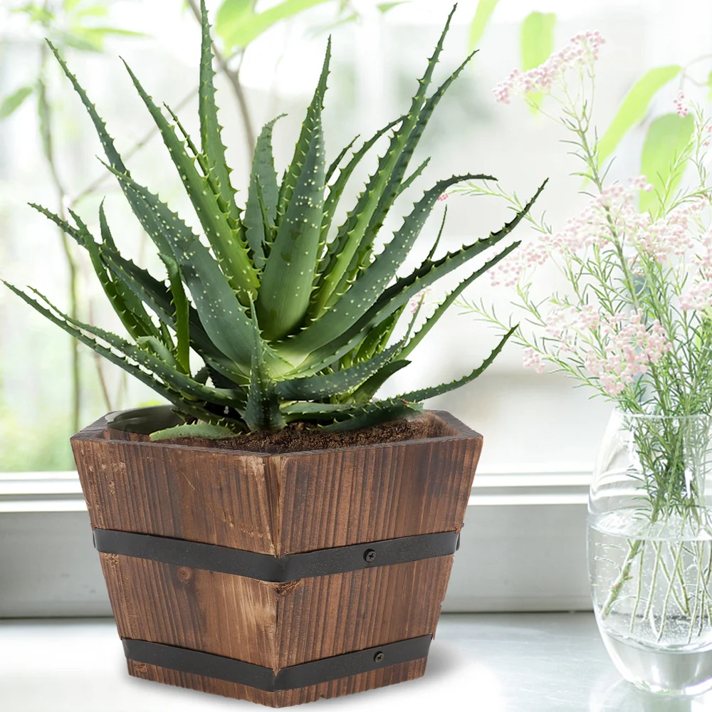 1Pc Wooden Succulent Plant Pot Creative Bonsai Flower Pot Home Decoration
1Pc Wooden Succulent Plant Pot Creative Bonsai Flower Pot Home Decoration