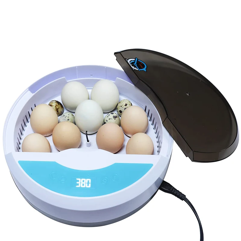 HHD Mini 9 Egg Automatic Egg Incubator Automatic Chicken Hatching Humidity Control Brooder Poultry Quail Egg Tray Digital LED
HHD Mini 9 Egg Automatic Egg Incubator Automatic Chicken Hatching Humidity Control Brooder Poultry Quail Egg Tray Digital LED