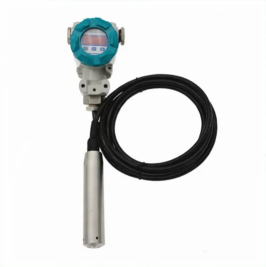 4-digit Display Fuel Level Sensor 24V Submersible water Level Transmitter
4-digit Display Fuel Level Sensor 24V Submersible water Level Transmitter