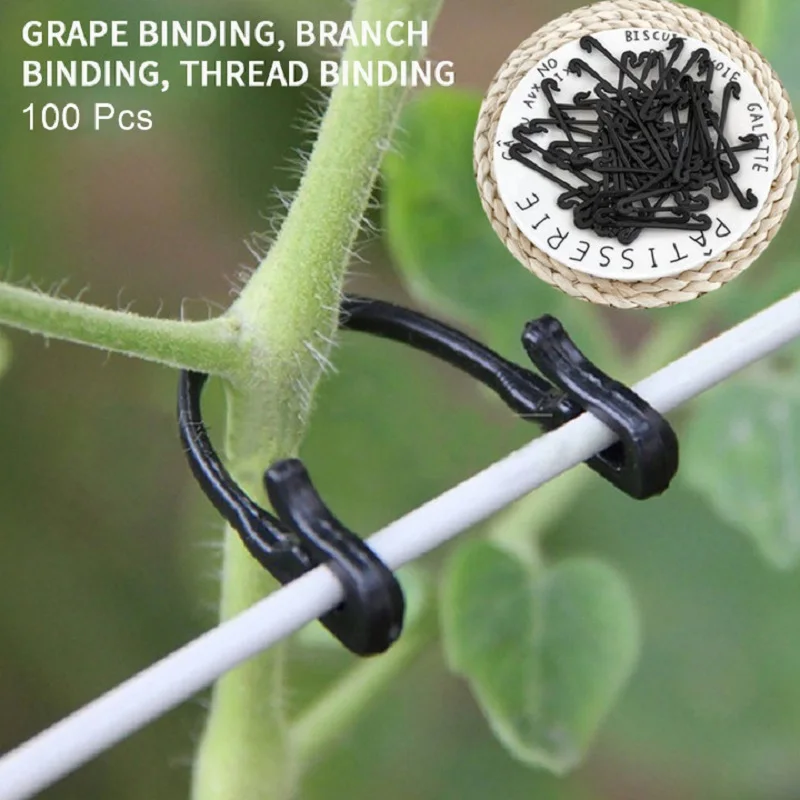 100PCS Vines Fastener Tied Clips Buckle Fixed Lashing Tool Vegetable Grafting Support Clip Garden Plant Vegetable Fixed Hook
100PCS Vines Fastener Tied Clips Buckle Fixed Lashing Tool Vegetable Grafting Support Clip Garden Plant Vegetable Fixed Hook