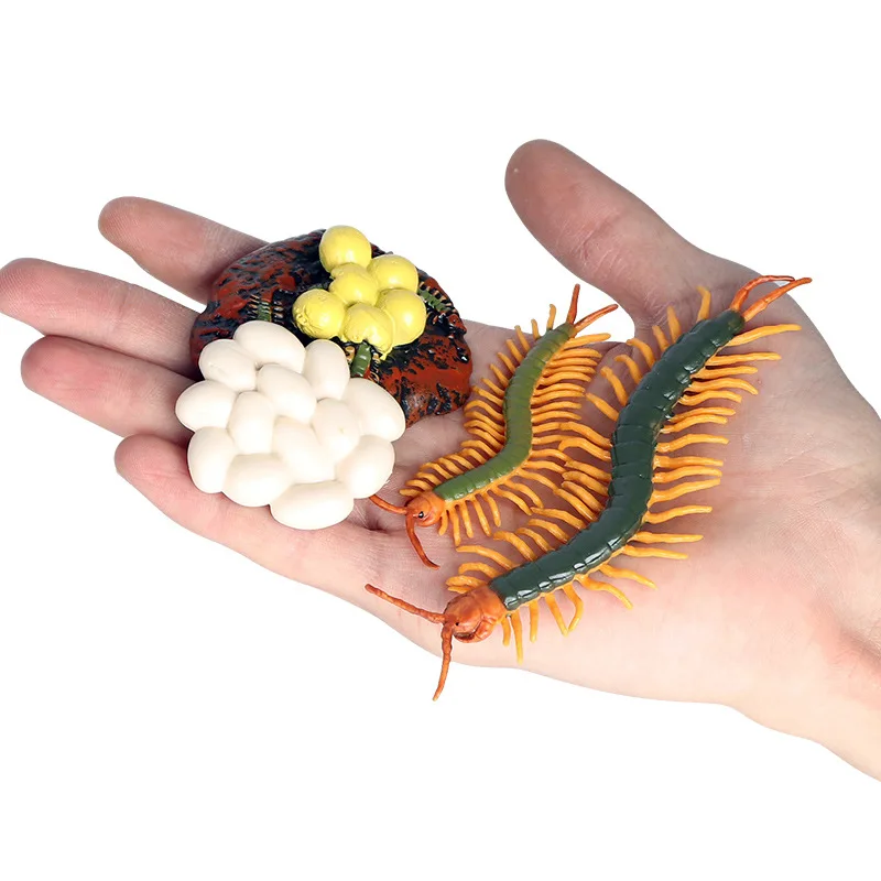 Simulation Animals Insect Wasp Centipede Growth Cycle Action Figures Model Educational Cognitive Collection Cute Kids Toys Gifts 
Simulation Animals Insect Wasp Centipede Growth Cycle Action Figures Model Educational Cognitive Collection Cute Kids Toys Gifts