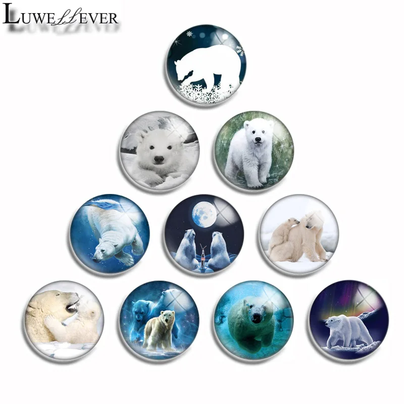 10mm 12mm 16mm 20mm 25mm 30mm 489 Bear Mix Round Glass Cabochon Jewelry Finding 18mm Snap Button Charm Bracelet
10mm 12mm 16mm 20mm 25mm 30mm 489 Bear Mix Round Glass Cabochon Jewelry Finding 18mm Snap Button Charm Bracelet