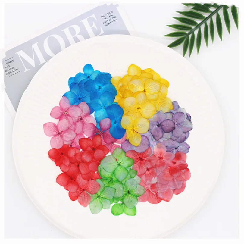 60pcs Pressed Dried Dyed Hydrangea Macrophylla Flower Plants Herbarium For Jewelry Phone Case Bookmark Postcard Candle Craft
60pcs Pressed Dried Dyed Hydrangea Macrophylla Flower Plants Herbarium For Jewelry Phone Case Bookmark Postcard Candle Craft