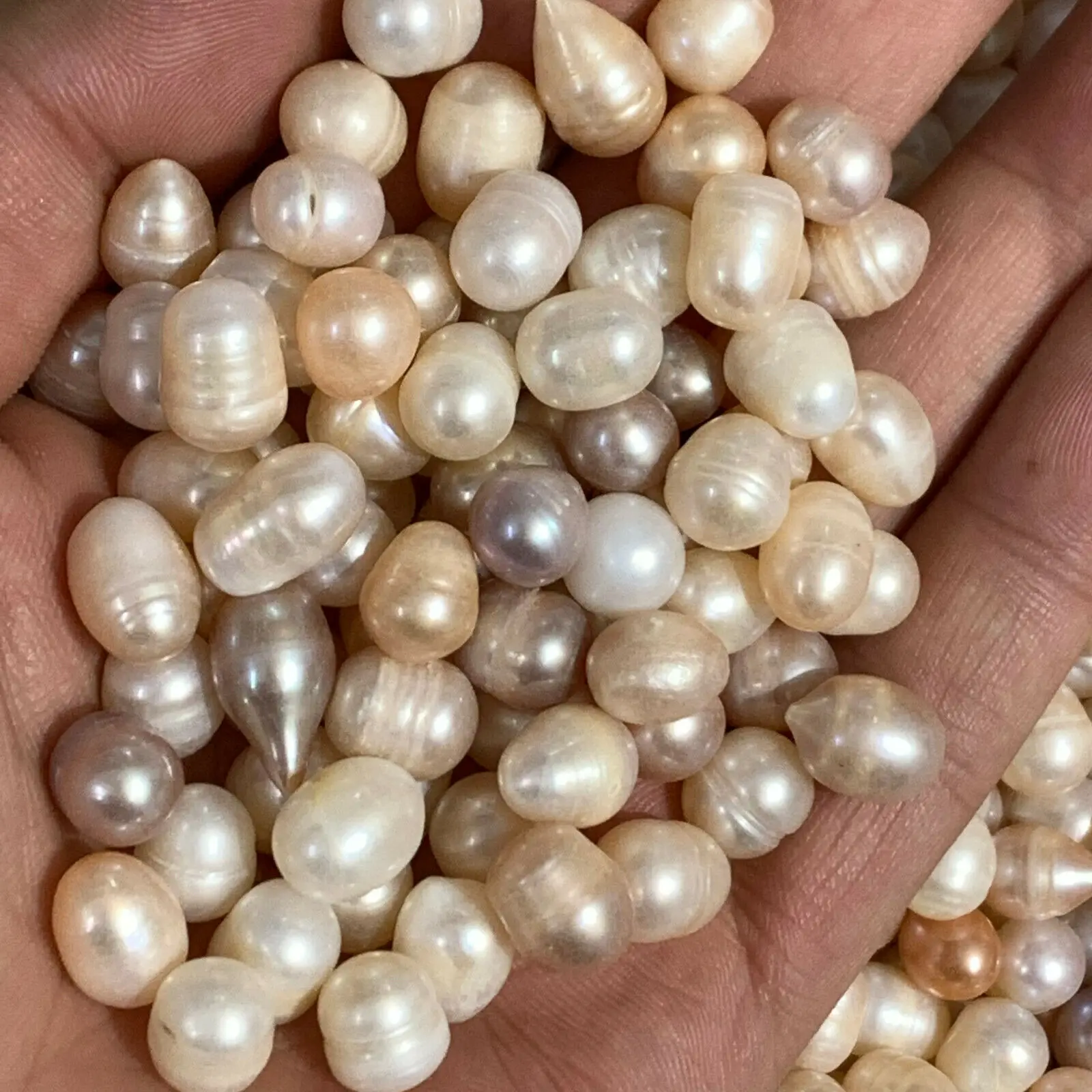 1lb natural pearl quartz crystal specimen with electrical reiki healing 
1lb natural pearl quartz crystal specimen with electrical reiki healing