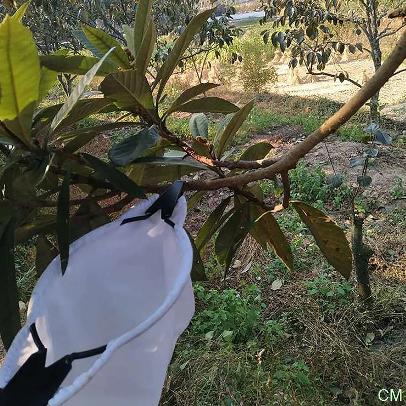 Fruit Picker Head Basket Portable Fruits Catcher For Harvest Picking Citrus Pear Collector Catcher Peach Picking Garden Tool
Fruit Picker Head Basket Portable Fruits Catcher For Harvest Picking Citrus Pear Collector Catcher Peach Picking Garden Tool