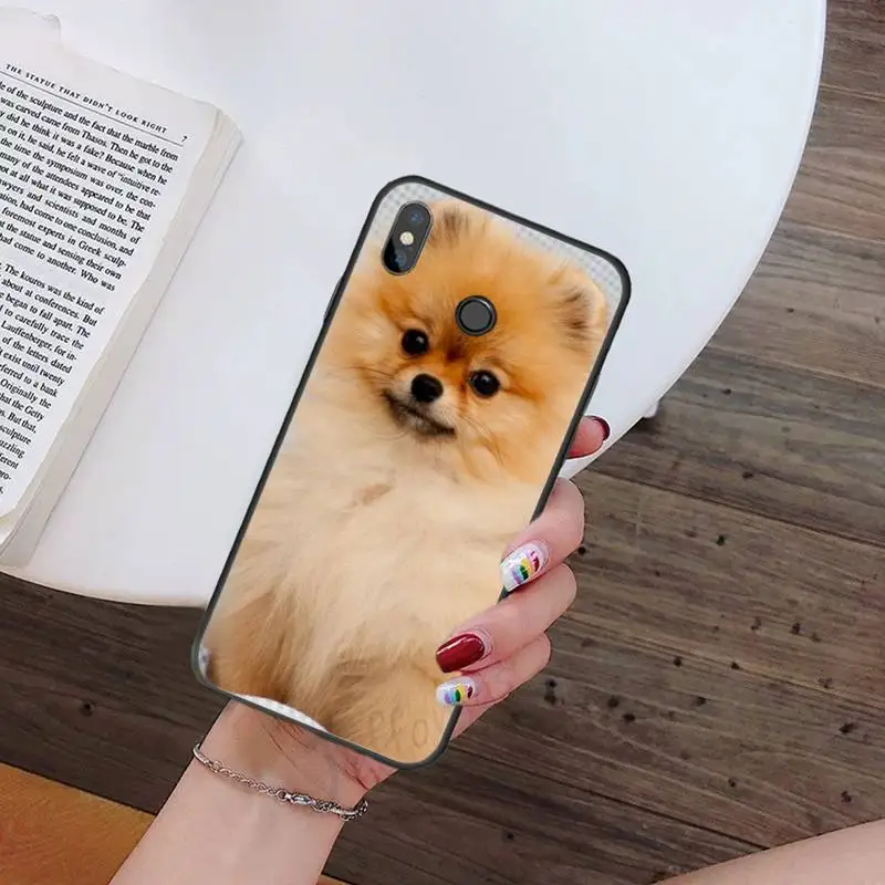 Pomeranian dogs dog Phone Cases For Xiaomi Redmi note 7 8 9 t k30 max3 9 s 10 pro lite
Pomeranian dogs dog Phone Cases For Xiaomi Redmi note 7 8 9 t k30 max3 9 s 10 pro lite