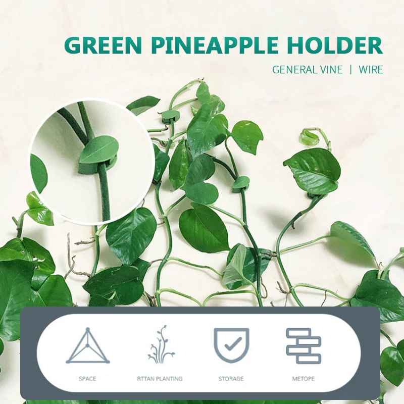 10PCS Leaf Shape Plant Climbing Wall Fixture Clips Self-Adhesive Invisible Vines Hook Support Garden Wall Fixer Wire Fixing Snap
10PCS Leaf Shape Plant Climbing Wall Fixture Clips Self-Adhesive Invisible Vines Hook Support Garden Wall Fixer Wire Fixing Snap