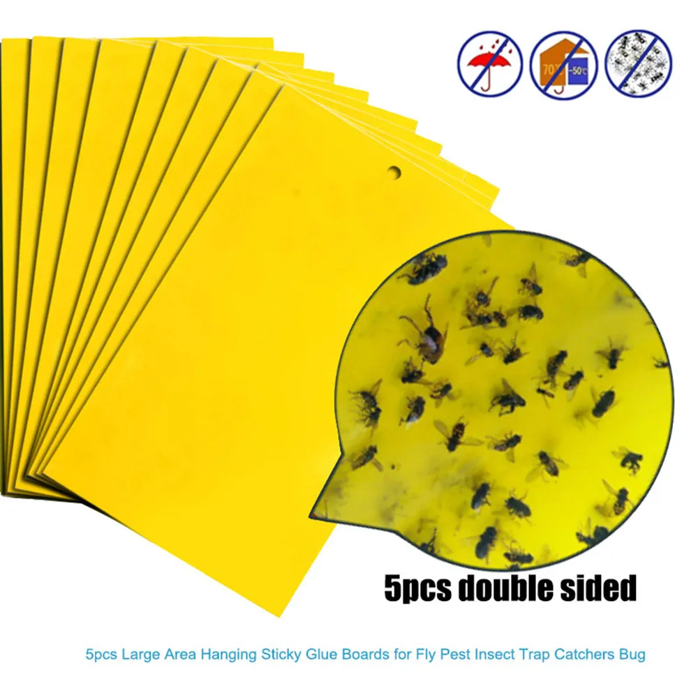 Strong Flies Traps Bugs Sticky Board Catching Aphid Insects Killer Pest Control Whitefly Thrip Glue Sticker
Strong Flies Traps Bugs Sticky Board Catching Aphid Insects Killer Pest Control Whitefly Thrip Glue Sticker