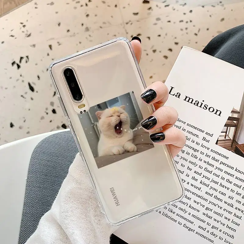 Cute Cat Phone Case Transparent for Samsung A71 S9 10 20 HUAWEI p30 40 honor 10i 8x xiaomi note 8 Pro 10t 11
Cute Cat Phone Case Transparent for Samsung A71 S9 10 20 HUAWEI p30 40 honor 10i 8x xiaomi note 8 Pro 10t 11