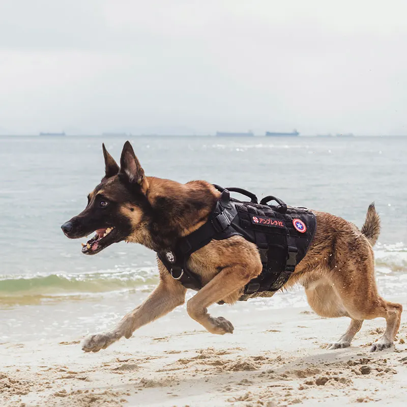 OneTigris X K9 Harness 3 Handled Heavy Duty Dog Vest With Metal Buckles MOLLE Training Harness for Service Dog
OneTigris X K9 Harness 3 Handled Heavy Duty Dog Vest With Metal Buckles MOLLE Training Harness for Service Dog