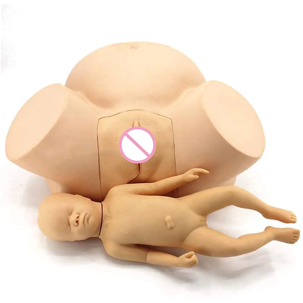 Модель доставки Dystocia, модель обучения Midwifery в натуральную величину, оборудование для обучения детей, модель обучения акушерству
Модель доставки Dystocia, модель обучения Midwifery в натуральную величину, оборудование для обучения детей, модель обучения акушерству