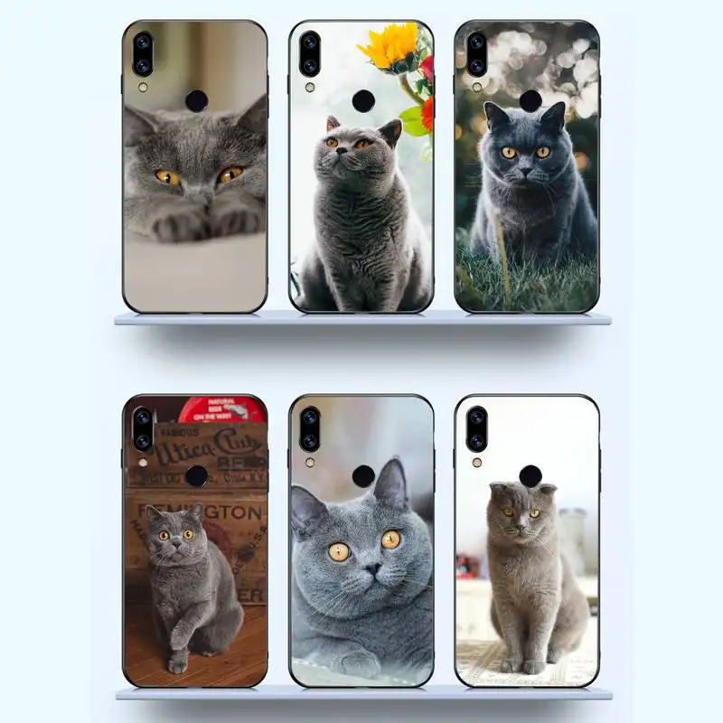 British Shorthair cat Cute animal Phone Case For Xiaomi Redmi note 7 8 9 11 t s 10 A pro lite funda shell coque cover
British Shorthair cat Cute animal Phone Case For Xiaomi Redmi note 7 8 9 11 t s 10 A pro lite funda shell coque cover