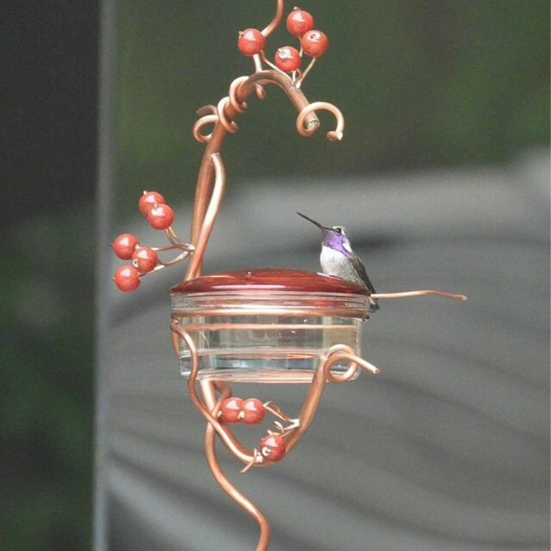 Garden Courtyard Bird Feeder Water Drinker Feeder Hanging Red Berries Hummingbird Feeder Outdoor Indoor Bird Feeding Tools
Garden Courtyard Bird Feeder Water Drinker Feeder Hanging Red Berries Hummingbird Feeder Outdoor Indoor Bird Feeding Tools