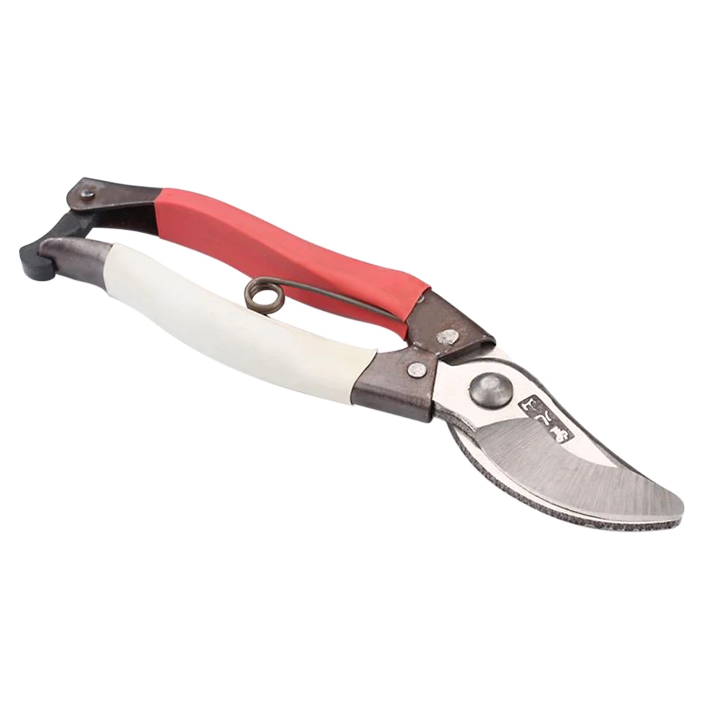 High Quality Strength Pruning Shears Household Farm Garden Shears Can Cut Branches, Fruit Trees, Flowers, PVC Pipes Garden Tools
High Quality Strength Pruning Shears Household Farm Garden Shears Can Cut Branches, Fruit Trees, Flowers, PVC Pipes Garden Tools