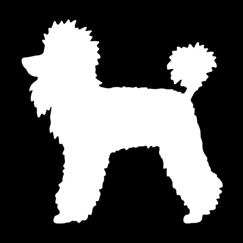 Car Sticker Poodle Car Sticker Lovely PVC Decal Shaped Truck Trim 12.7cm*12.4cm 
Car Sticker Poodle Car Sticker Lovely PVC Decal Shaped Truck Trim 12.7cm*12.4cm