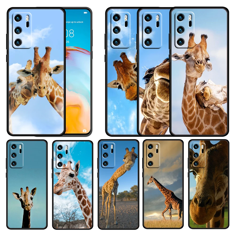 Cute Animal Giraffe Kawaii for Huawei P50 P40 E P30 P20 P10 P9 P8 Pro Lite mini 5G Soft TPU Silicone Black Phone Case Cover
Cute Animal Giraffe Kawaii for Huawei P50 P40 E P30 P20 P10 P9 P8 Pro Lite mini 5G Soft TPU Silicone Black Phone Case Cover