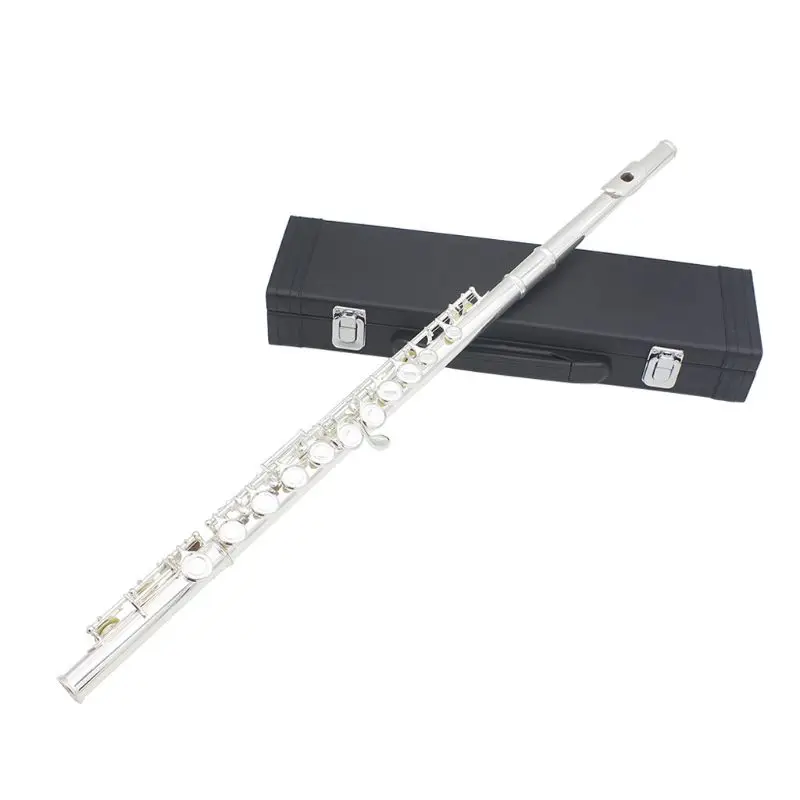 

LADE 16 Keys Close Hole Silver Plated C Flute Brass Instrument With Gloves Mini Screwdriver 87HF