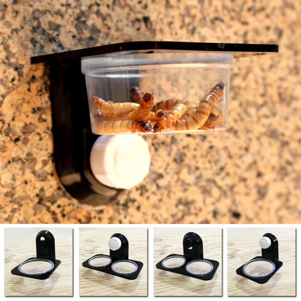 Hot !1pcs Reptile Tank Insect Spider Ants Nest Snake Gecko Food Water Feeding Bowl Terrarium Breeding Feeders Box Pets Supplies
Hot !1pcs Reptile Tank Insect Spider Ants Nest Snake Gecko Food Water Feeding Bowl Terrarium Breeding Feeders Box Pets Supplies