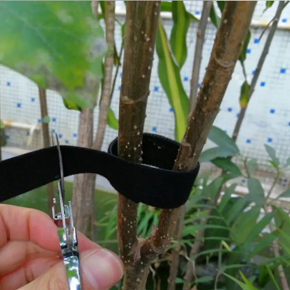 5M Plant Ties Velcro Plant Binder Adhesive And Garden Cable Flower Grape Rattan Holder Headphones Line USB Cable Organizer
5M Plant Ties Velcro Plant Binder Adhesive And Garden Cable Flower Grape Rattan Holder Headphones Line USB Cable Organizer