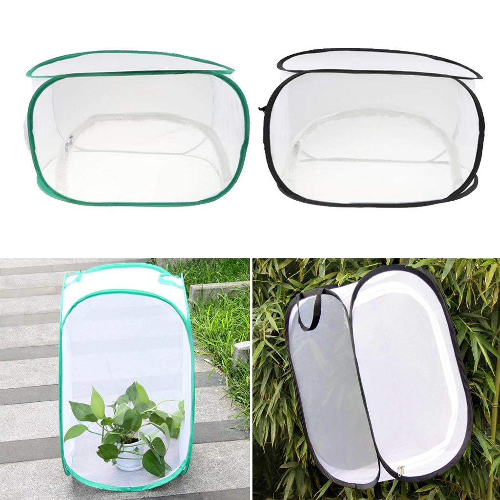 2X Butterfly Habitat Terrarium Stick Carry Handle Insect Pet Breeding Cage
2X Butterfly Habitat Terrarium Stick Carry Handle Insect Pet Breeding Cage