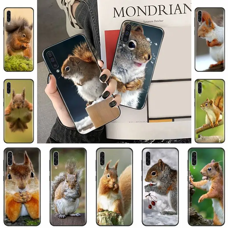 cute animal squirrel Phone Case For Samsung galaxy A S note 10 12 20 32 40 50 51 52 70 71 72 21 fe s ultra plus
cute animal squirrel Phone Case For Samsung galaxy A S note 10 12 20 32 40 50 51 52 70 71 72 21 fe s ultra plus